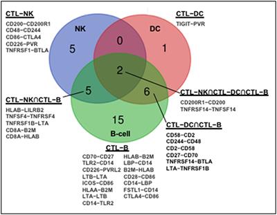 CD8+ T Lymphocyte and NK Cell Network: Circuitry in the Cytotoxic Domain of Immunity